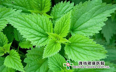 荨麻疹过敏原有哪些?慢性荨麻疹应该注意什么? 荨麻疹过敏原有哪些?慢性荨麻疹应该注意什么?