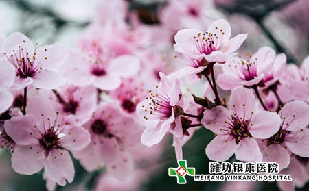 饮食不当会引起儿童荨麻疹吗?荨麻疹如何防治?