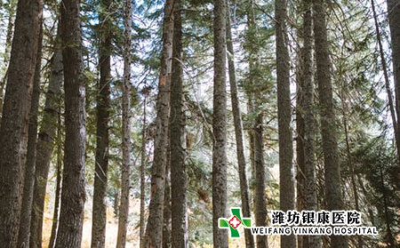 湿疹诱因是什么?不治疗会怎么样?