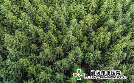 手足癣的发病原因一般有什么?致病因素有哪些?