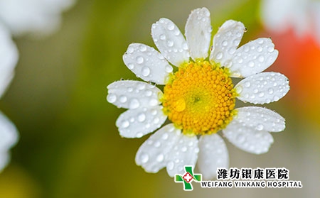 小儿荨麻疹的症状表现有哪些?不能吃什么? 小儿荨麻疹的症状表现有哪些?不能吃什么?