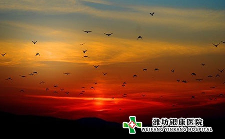 青岛皮肤医院可以治疗银屑病的医院怎么选择
