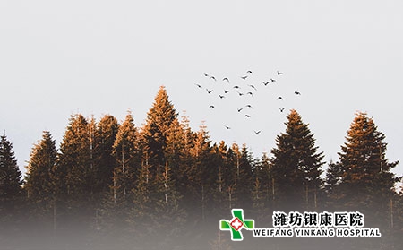 潍坊银康医院能看银屑病吗 潍坊银康医院能看银屑病吗