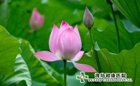 儿童荨麻疹要注意什么?日常禁忌有哪些? 儿童荨麻疹要注意什么?日常禁忌有哪些?