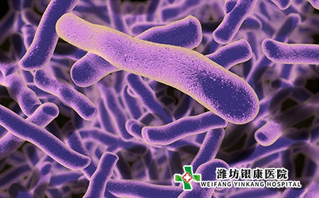 潍坊银康医院牛皮癣到哪治好 潍坊银康医院牛皮癣到哪治好