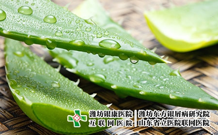 摄图网_501898462_草药清新芦荟（企业商用）
