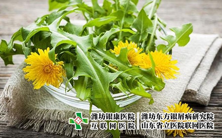 蒲公英
