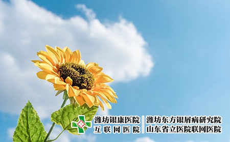 摄图网_500530563_阳光下的向日葵（企业商用）