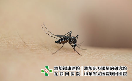 摄图网_501365101_正在吸血的花蚊（企业商用）