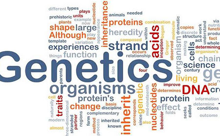 引起皮肤癣的原因-遗传因素