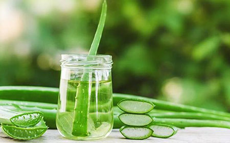 芦荟治疗荨麻疹