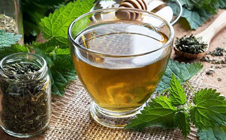 荨麻茶治疗荨麻疹