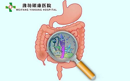 红斑狼疮_肠道菌群