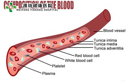 过敏性紫癜是一种称为毛细血管的小动脉血管的炎症。