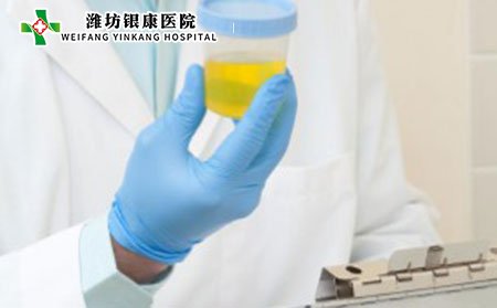 尿液分析通常用于帮助诊断-Schonlein-Henoch-紫癜。