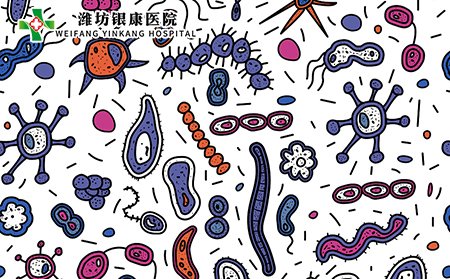 葡萄球菌和链球菌细菌感染在特应性皮炎患者中较为常见