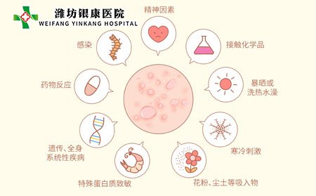 丘疹性荨麻疹图片和症状,丘疹性荨麻疹怎么断根