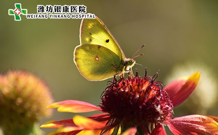 带状疱疹和荨麻疹交替出现