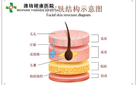 毛囊炎是怎么引起的,毛囊炎疙瘩怎么消除