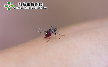 丘疹性荨麻疹症状及原因,丘疹性荨麻疹是怎么引起的